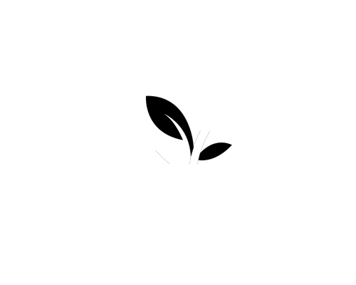 True Moments Logo
